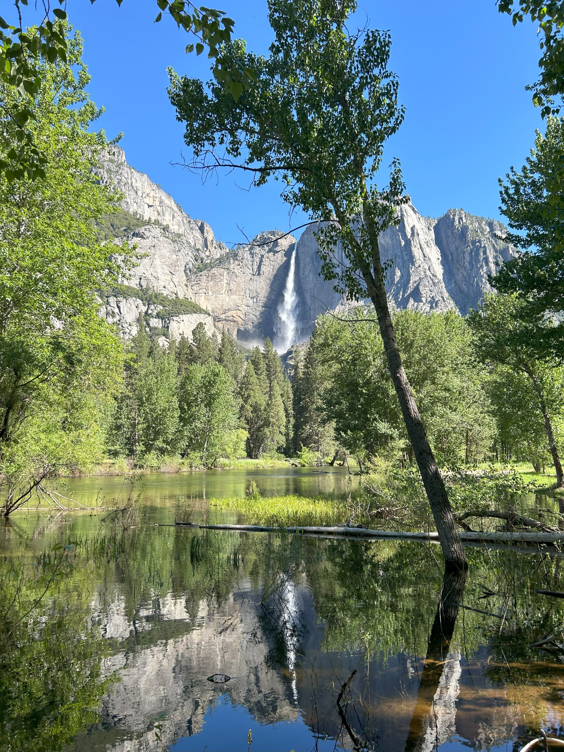 The Ultimate 1 Day Yosemite Itinerary