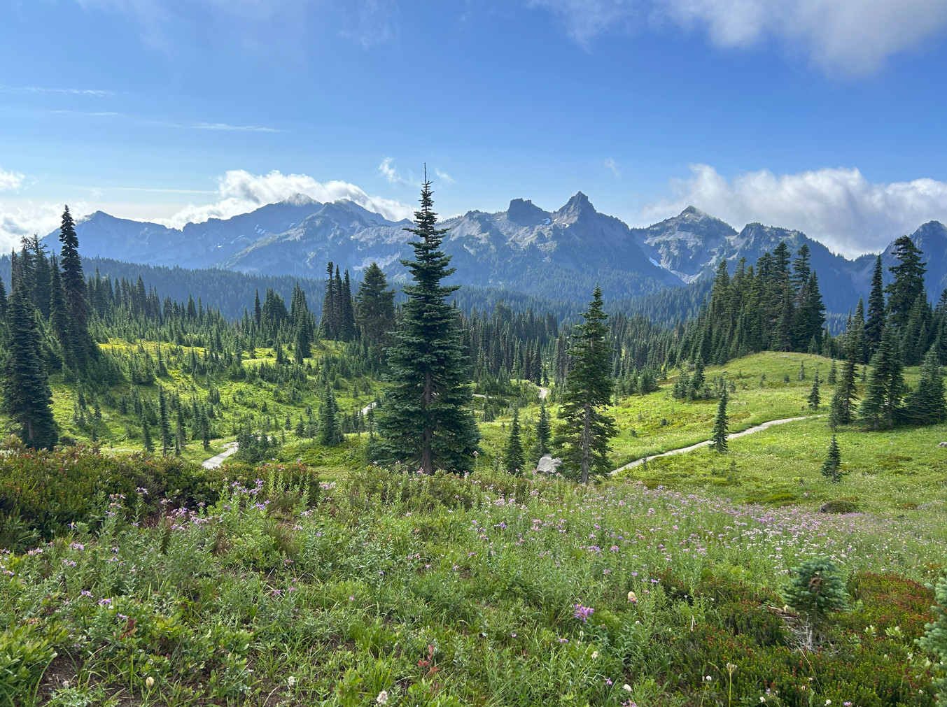 Ultimate 1 Day Mt. Rainier Itinerary (Paradise + Sunrise)